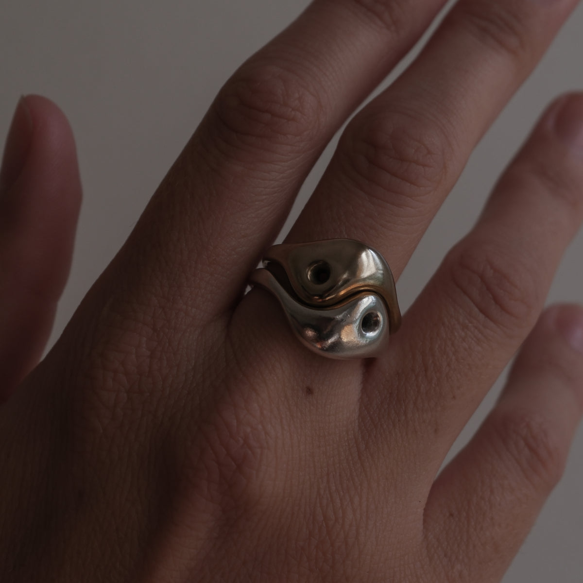 Yin Yang – Suna Bonometti