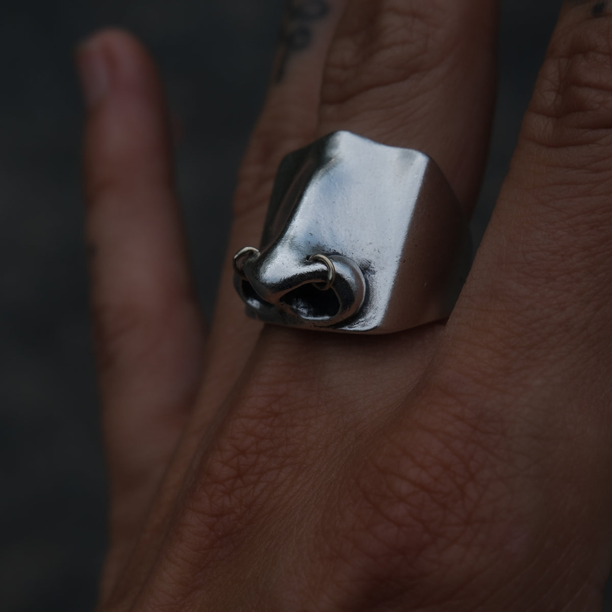 Dennis Rodman Ring - Suna Bonometti